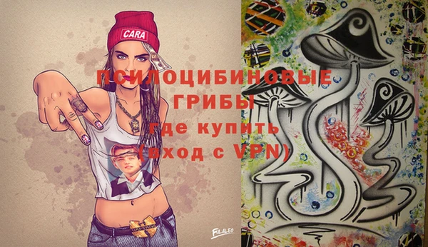 стаф Алексеевка