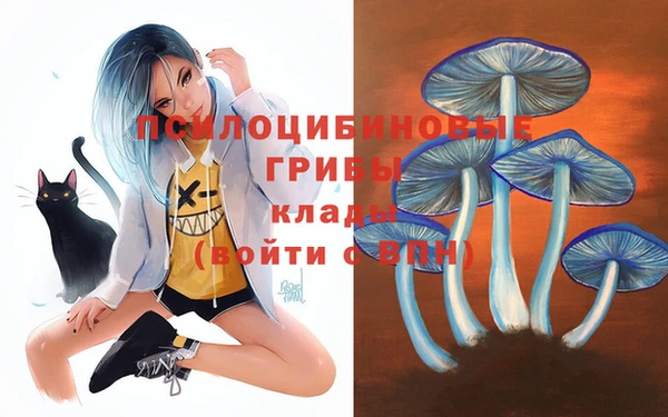 а пвп мука Алзамай