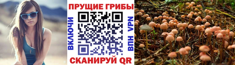 Галлюциногенные грибы ЛСД маркетплейс Telegram Беслан